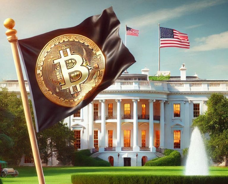 Bitcoin flag waving in front of the White House - They need Bitcoin